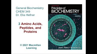 Chapter 3  Amino Acids Peptides and Proteins [upl. by Aitnahs918]