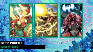 Digimon TCG  Deck Insectoid BT15  Falta una expansión para ver su potencial [upl. by Hameerak]