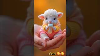 What a cute cry cutepet cutanimal childrenanimalvideo [upl. by Ydnic]