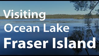 Visiting Ocean Lake on Fraser Island  The Hidden Gem in The North  All About Fraser [upl. by Pierrepont]