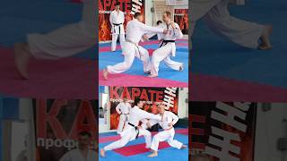 bunkai Kata Junro karate piatsko martialarts 空手 空手道 zuki reverse sensei shotokan profi [upl. by Airotel]