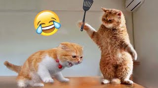 Funniest Cats and Dogs 2024 😹🐶 New Funny Animals Video 😍 Part 10 [upl. by Inaej168]