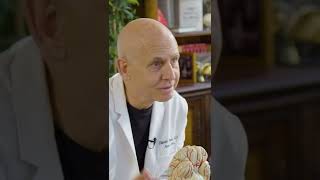 Jordan Younger Views Her Brain Scan  Dr Daniel Amen [upl. by Nikal]