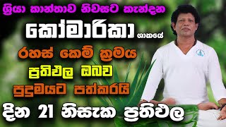 මෙ කෙම් ක්‍රමය ඔබත් අත් හදා බලන්නධනය ගලා එන කෝමාරිකාදින 21 නිසැක ප්‍රතිඵල Aloe Veravenas lokaya [upl. by Ellehsar396]