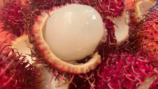 How to eat and open rambutan fruitPart2 [upl. by Anayrb]