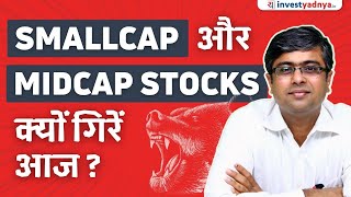 Small Cap amp Mid Cap Stocks क्यों गिरे आज Parimal Ade [upl. by Eyaj]