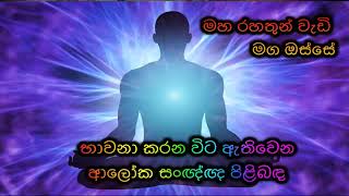 භාවනා කරන විට ඇතිවෙන ආලෝක සංඥ්ඥ පිළිබඳ Maha Rahathun Wadi Maga Osse [upl. by Ardin]