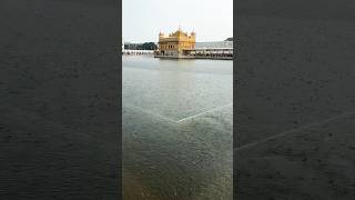 Dhan Shri Guru Ramdas Sahib Ji darbarsahib hukamnamasahib travel youtubeshorts trending [upl. by Naujaj]