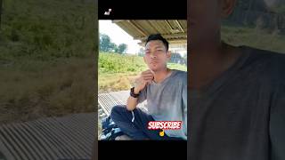 😱 MasyahAllah 🤲 🌶️ ustad ustadzadihidayat uas cabe bertani shorts short shortvideo viral [upl. by Piks387]