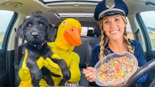 Police Surprises Rubber Ducky amp Puppy with Car Ride Chase [upl. by Siurad]