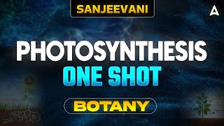 PHOTOSYNTHESIS CLASS 11 ONE SHOT  NEET 2024  ALL CONCEPT AND TRICKS  BOTANY BY SANKALP BHARAT [upl. by Pisarik]