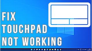 How to Fix Touchpad Not Working on Windows 11 [upl. by Lizbeth429]