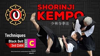 Techniques of Shorinji Kempo Black Belt 3rd DAN part C [upl. by Fotinas]