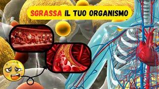 SGRASSA il TUO ORGANISMO in QUESTO MODO 😏 [upl. by Stewart]