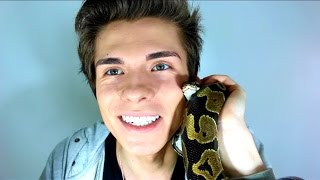 THIS VIDEO WILL MAKE YOU LOVE SNAKES [upl. by Ilecara]