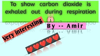 Experiments no 5  to show carbon dioxide is exhaled out during respiration  experiments 🔥🔥🔥 [upl. by Dorice]