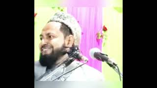 Mohammad jarjis Ansari chaturvedi waz takrir Video 20241109 10 [upl. by Longwood432]