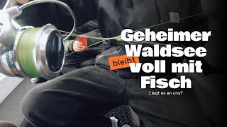 GEHEIMER WALDSEE bleibt VOLL MIT FISCH [upl. by Olegnaed]