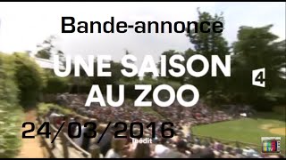 Bandeannonce  Bientôt quotUne saison au zooquot saison 5 France 4 24032016 [upl. by Eibbob]