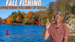 Mastering Fall Bass Fishing Unlocking the Secrets of the 3 Stages [upl. by Ahsirahc]