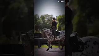 Horse edit✨️ horse horseedits equestrian horseing edit [upl. by Nanaj]