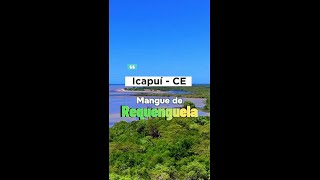 Conheça o Mangue da praia de Requenguela em Icapuí Ceará [upl. by Inilahs176]