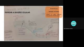 QUIMIOTERAPIA ANTINEOPLÁSICA  Parte 2 [upl. by Tips]