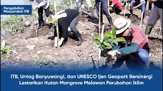 ITB Untag Banyuwangi dan UNESCO Ijen Geopark Bersinergi Lestarikan Hutan Mangrove [upl. by Amiaj]