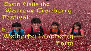 Gavin Visits the Warrens Cranberry Festival amp Wetherby Cranberry Farm [upl. by Jeraldine]