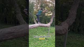 Am căzut din pom funny shortvideo shorts short viralshorts [upl. by Yhtac]