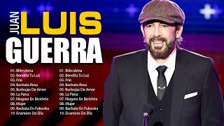 The Best Latin Songs Playlist of Juan Luis Guerra  Greatest Hits Of Full Album [upl. by Alemac785]