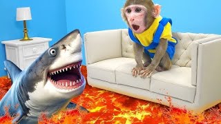 Monkey coco goes Shark fishing and eating  Monkey coco monkeybabyshark monkeycoco monkeybaby [upl. by Evilo]