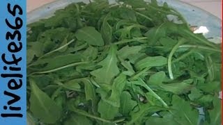 Why Eat Arugula [upl. by Arihsaj]