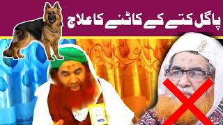 Molana Ilyas Qadri Ki Jahalat  Ilyas Qadri Funny Video  Mad 🐕 K Katne Ka Ilaj REMASTERED VIDEO [upl. by Marty]