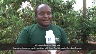 Yara fertilizer coffee testimonial in Ruiru [upl. by Lisa]