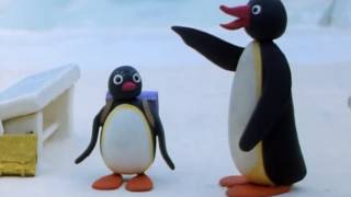 Pingu S02e02 Pingus Admirer [upl. by Veronike]