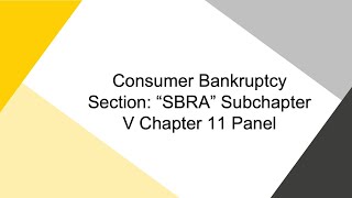 Consumer Bankruptcy Section “SBRA” Subchapter V Chapter 11 Panel [upl. by Bo]