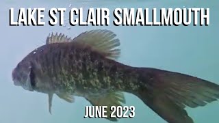 Lake St Clair Smallmouth Bass Fishing [upl. by Amyaj641]