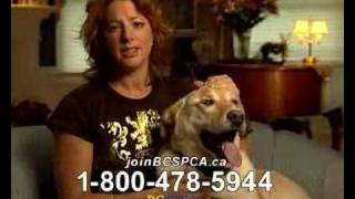 Sarah McLachlan Animal Cruelty Video [upl. by Fayre]