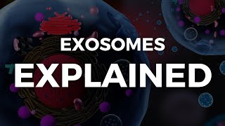 Exosomes EXPLAINED [upl. by Naleek926]