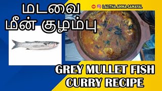 மடவை மீன் குழம்பு  Grey mullet fish curry  Recipe [upl. by Ros]