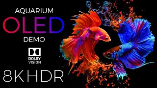 Aquarium OLED Demo HDR 8K Ultra HD Dolby Vision™ 60fps [upl. by Duthie]