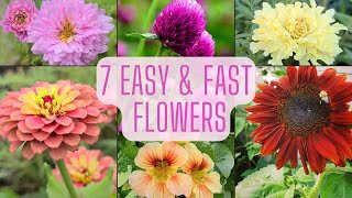 7 Easy amp Fast Flowers To Grow From Seed Beginner Friendly Annual Flowers [upl. by Alyakem]