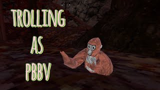 trolling as pbbv in gorilla tag [upl. by Gunas]