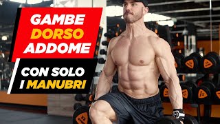 Allenamento gambe dorso addominali a casa coi manubri [upl. by Iren]