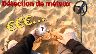 Je deviens riche en détection de métaux [upl. by Juliana]