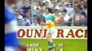 Offaly v Laois Leinster Hurling Championship Highlights 1987 [upl. by Furtek358]