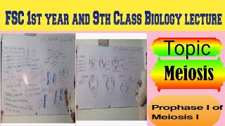 Topic Meiosis Prophase 1 of Meiosis 1 lecture delivered by Maam Samina Khuram 👍 [upl. by Leoj]