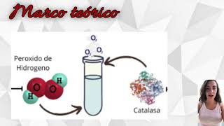 Influencia del pH y la temperatura en la actividad enzimática de la catalasa presente en el hígado [upl. by Oisinoid]