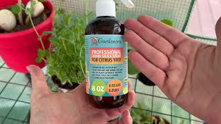 GARDENERA Silica Spray Boost Feritilizer For Citrus Trees  Honest Gardener Review [upl. by Geraint]